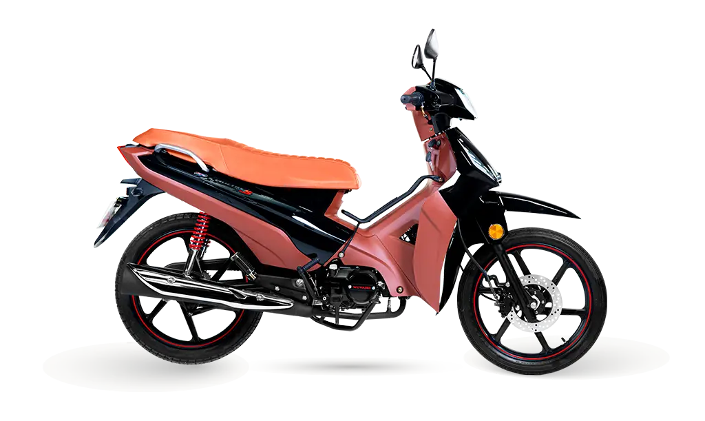 PHOENIX-S-EFI-COR-04